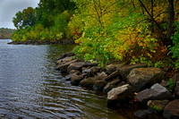Mississippi Shoreline