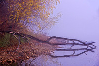 Holland Lake Shoreline