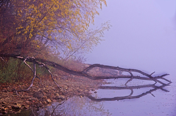 Holland Lake Shoreline