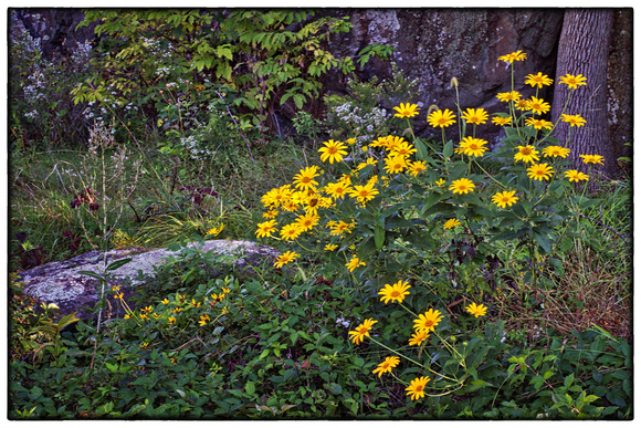 Interstate Park, MN Pastoral