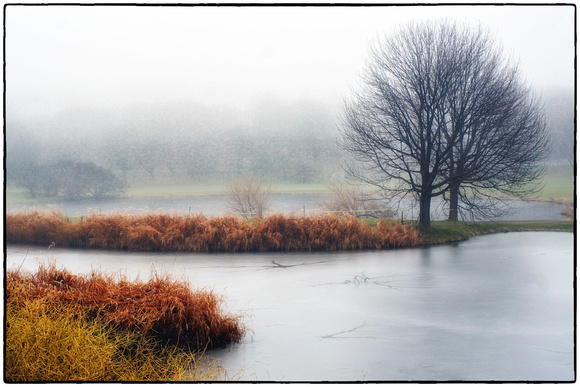 Como Golf Course Scene