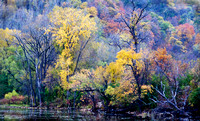 Pickerel Lake Panorama