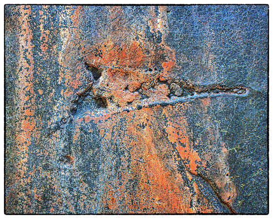Roadrunner's Head in the Rock