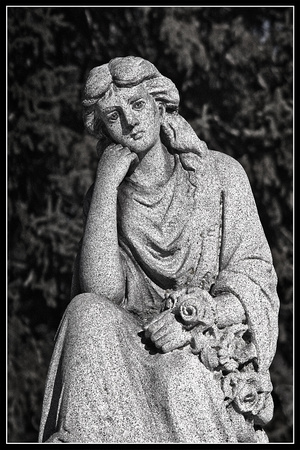Calvary Cemetery 4485