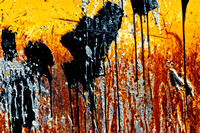 Dumpster Modern Art 4751