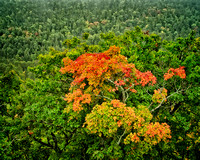 Fall Color on Brockway Mountain Drive