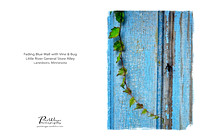 Lanesboro Blue Wall