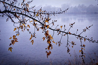 Hanging on to Fall