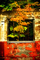 Detail of an Abandoned Building near Wakefield, Michigan #1