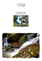 Roaring Fork Creek #1