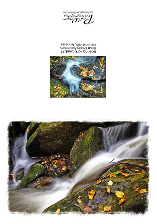 Roaring Fork Creek #1