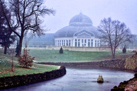 Frozen Frog Pond & the Conservatory #1