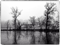 Lake Como B&W Peninsula