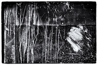 B&W challenge Day 3 - 10/21/17